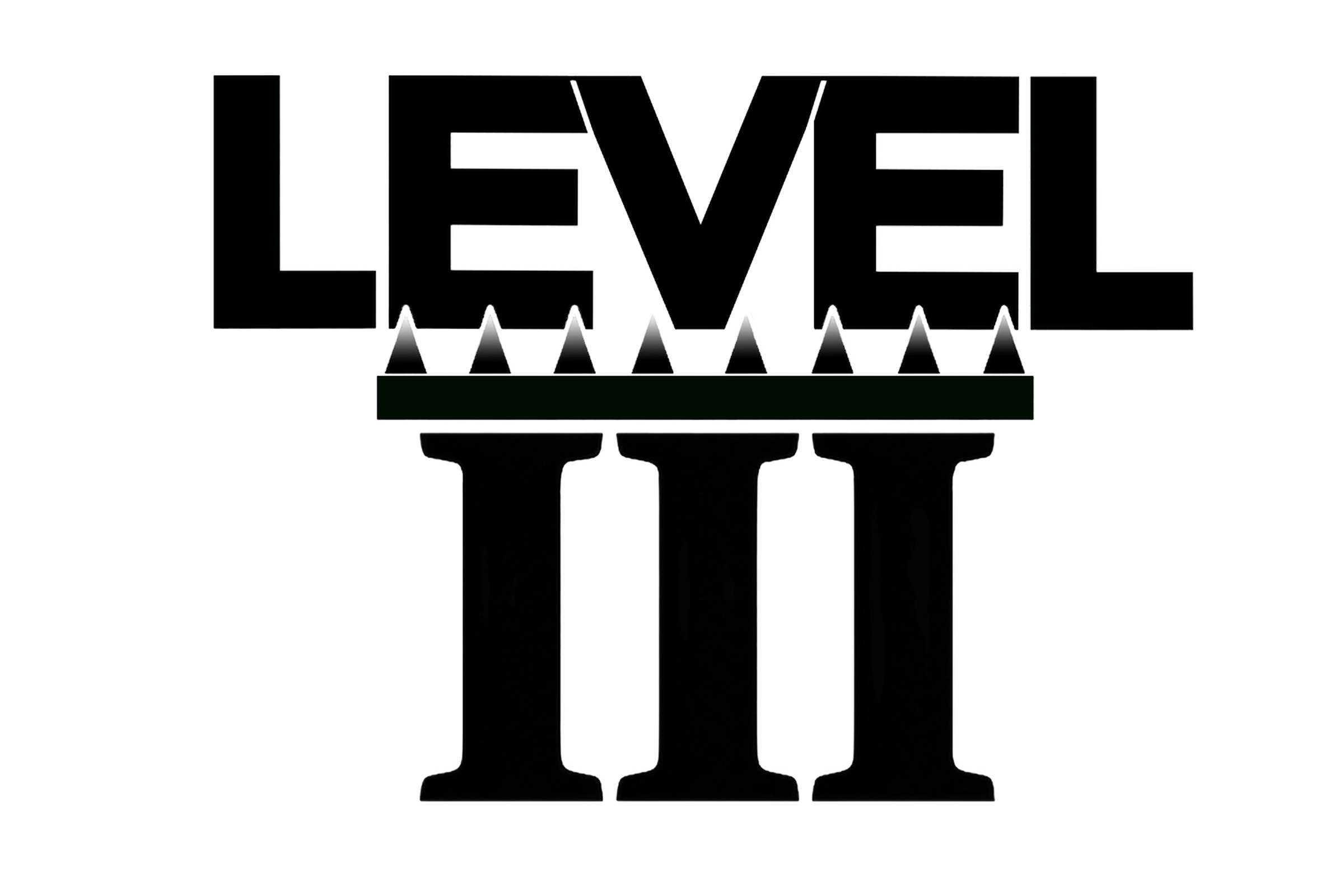 LEVEL3
